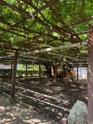 太巌寺（ふじの寺）(三重県)