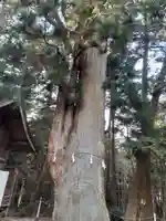 上沼八幡神社の自然