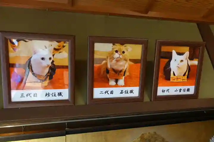 猫猫寺のその他建物