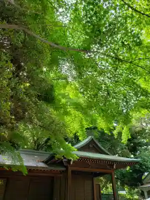 渋谷氷川神社(東京都)