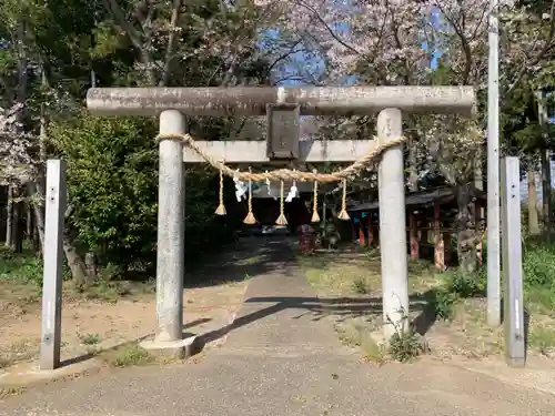 白幡神社の鳥居