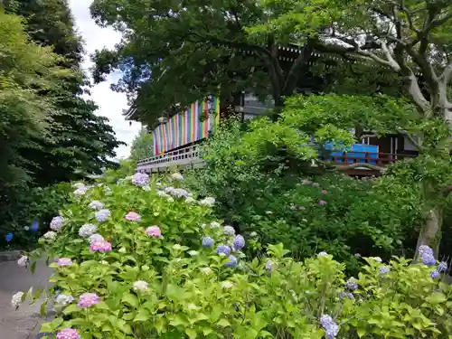  智積院(京都府)