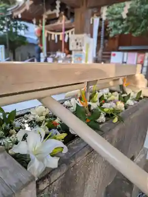 鳩森八幡神社(東京都)