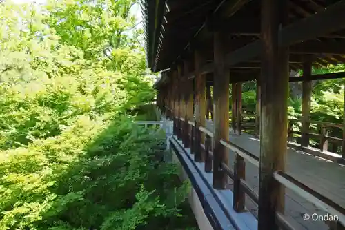 東福禅寺（東福寺）(京都府)