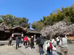 平野神社(京都府)