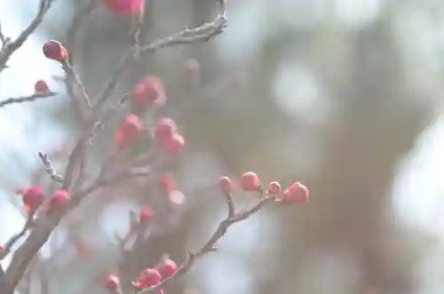 清凉寺(京都府)