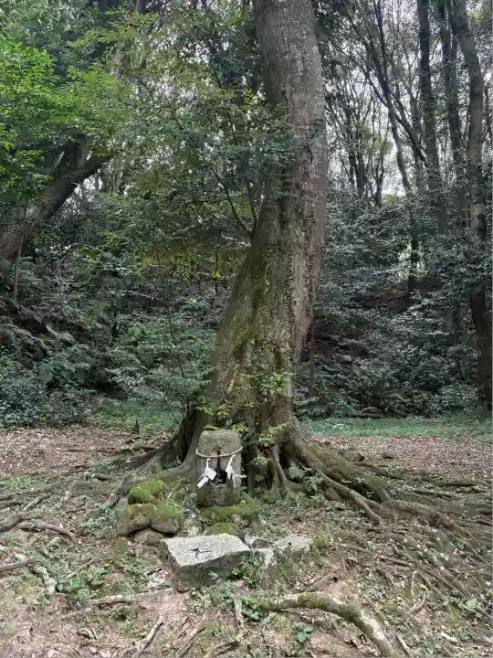 大水上神社(香川県)
