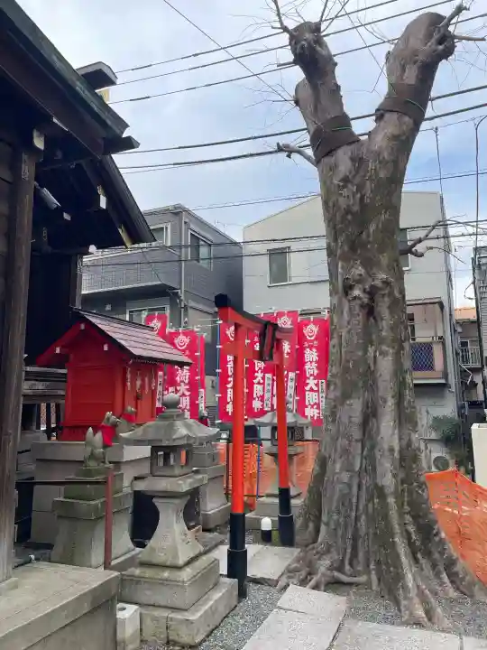 櫻木神社の{uncategorized: "未分類", other: "その他", undefined: "問題あり", building: "その他建物", grave: "お墓", sacred_gate: "鳥居", guardian: "狛犬", statue: "像", buddha: "仏像", history: "歴史", nature: "自然", garden: "庭園", animal: "動物", pagoda: "塔", temizu: "手水舎", mountain_gate: "山門・神門", sanctuary: "本殿・本堂", subordinate: "末社・摂社", art: "芸術", scenery: "景色", jizo: "地蔵", ema: "絵馬", goshuin: "御朱印", omikuji: "おみくじ", items: "授与品その他", amulet: "お守り", goshuincho: "御朱印帳", eats: "食事", festival: "お祭り", votive_dance: "神楽", shichigosan: "七五三参", wedding: "結婚式", experience: "体験その他", initially: "初詣", around: "周辺", anti_infection: "感染症対策"}