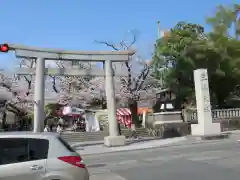 三嶋大社の鳥居