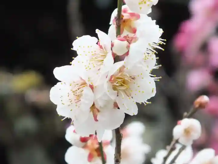 石山寺(滋賀県)