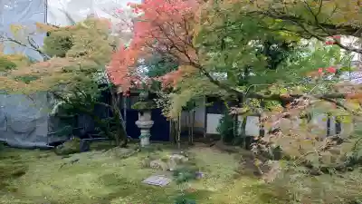仁和寺の{uncategorized: "未分類", other: "その他", undefined: "問題あり", building: "その他建物", grave: "お墓", sacred_gate: "鳥居", guardian: "狛犬", statue: "像", buddha: "仏像", history: "歴史", nature: "自然", garden: "庭園", animal: "動物", pagoda: "塔", temizu: "手水舎", mountain_gate: "山門・神門", sanctuary: "本殿・本堂", subordinate: "末社・摂社", art: "芸術", scenery: "景色", jizo: "地蔵", ema: "絵馬", goshuin: "御朱印", omikuji: "おみくじ", items: "授与品その他", amulet: "お守り", goshuincho: "御朱印帳", eats: "食事", festival: "お祭り", votive_dance: "神楽", shichigosan: "七五三参", wedding: "結婚式", experience: "体験その他", initially: "初詣", around: "周辺", anti_infection: "感染症対策"}