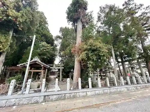 白鳥神社(滋賀県)