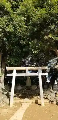 金山神社の鳥居