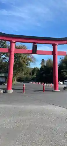 白笹稲荷神社の鳥居