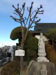 東耀寺の仏像