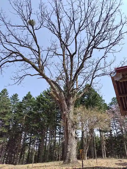 稲荷神社(北海道)