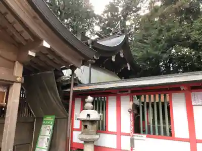 稗田野神社(薭田野神社)の本殿・本堂