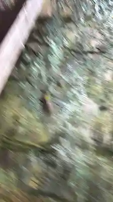 那谷寺の{uncategorized: "未分類", other: "その他", undefined: "問題あり", building: "その他建物", grave: "お墓", sacred_gate: "鳥居", guardian: "狛犬", statue: "像", buddha: "仏像", history: "歴史", nature: "自然", garden: "庭園", animal: "動物", pagoda: "塔", temizu: "手水舎", mountain_gate: "山門・神門", sanctuary: "本殿・本堂", subordinate: "末社・摂社", art: "芸術", scenery: "景色", jizo: "地蔵", ema: "絵馬", goshuin: "御朱印", omikuji: "おみくじ", items: "授与品その他", amulet: "お守り", goshuincho: "御朱印帳", eats: "食事", festival: "お祭り", votive_dance: "神楽", shichigosan: "七五三参", wedding: "結婚式", experience: "体験その他", initially: "初詣", around: "周辺", anti_infection: "感染症対策"}