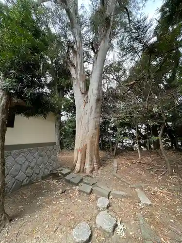 元城町東照宮の自然