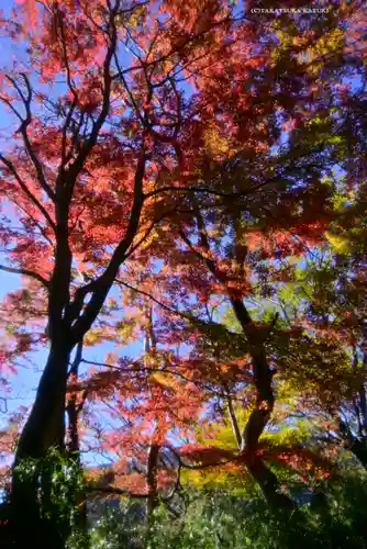 九頭龍神社本宮(神奈川県)