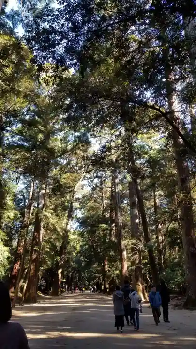 鹿島神宮の自然