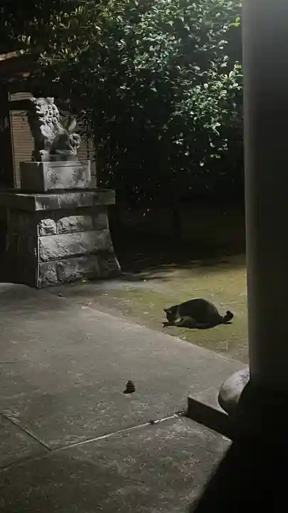 八坂神社(東京都)