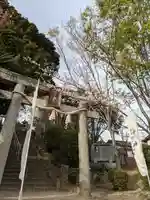 周防國総社宮 佐波神社の鳥居