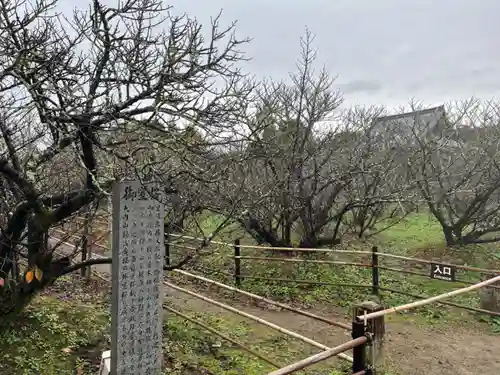 仁和寺(京都府)