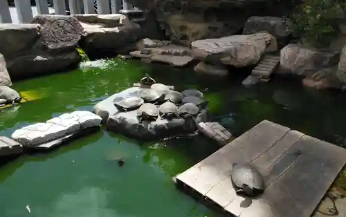 亀山八幡宮の庭園