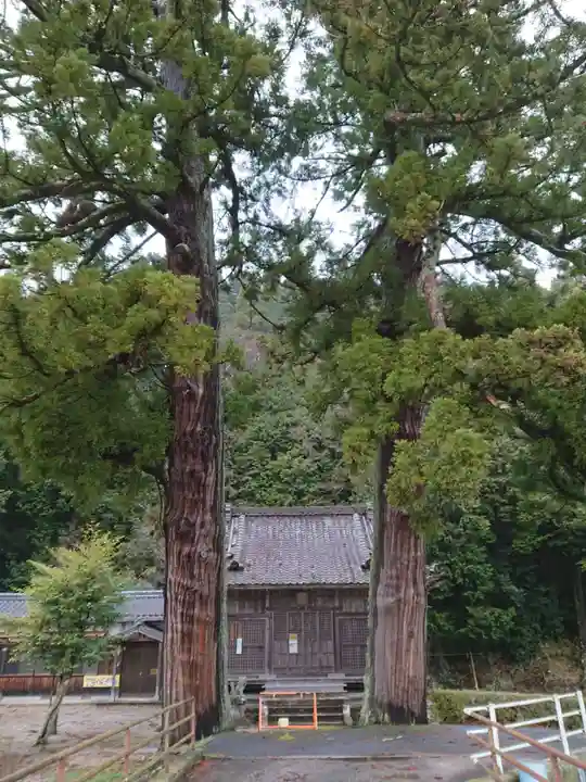 白鳥神社の自然