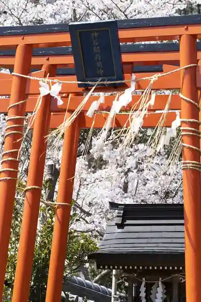 神谷稲荷明神社の鳥居