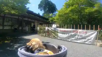 呑山観音寺(福岡県)