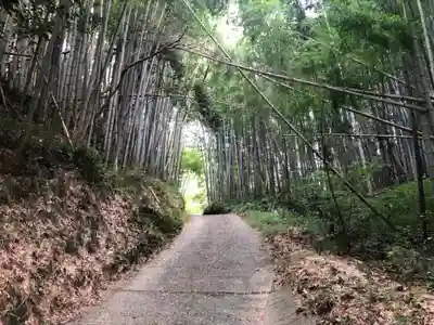 伊射波神社(三重県)