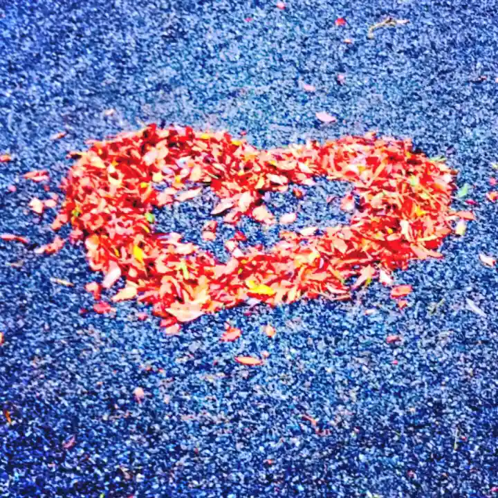 來宮神社の自然