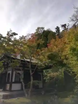 長谷寺のその他建物