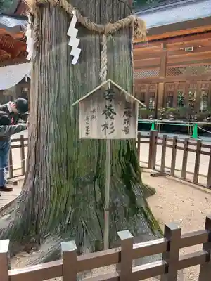 穂高神社本宮(長野県)