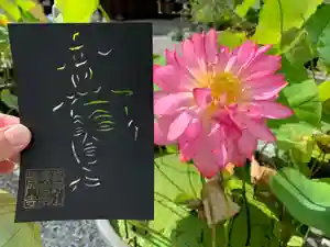 普門寺(切り絵御朱印発祥の寺)の御朱印(2021年07月20日(火) 08時31分18秒投稿)
