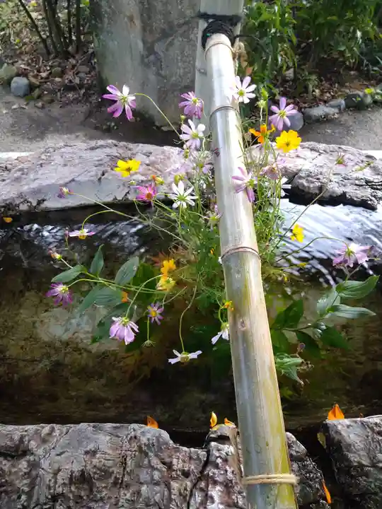 阿智神社の手水舎