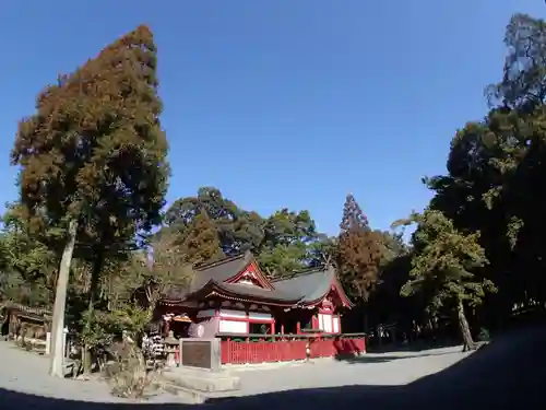 大己貴神社の建物その他