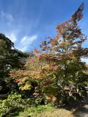 陽林寺(福島県)