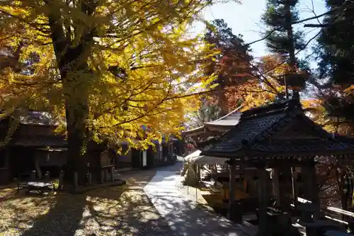 正法寺(滋賀県)