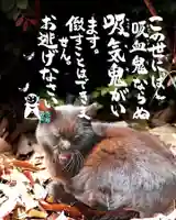 専念寺(大阪府)