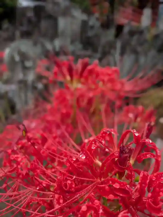 福寿院(東京都)