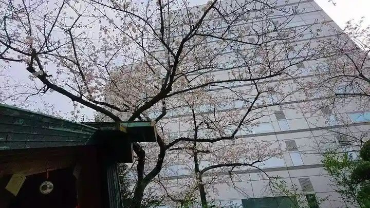 芝大神宮の自然