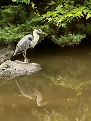 平塚八幡宮(神奈川県)