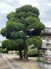 善勝寺(愛知県)