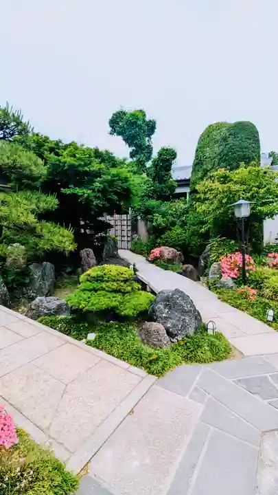 大蓮寺の庭園
