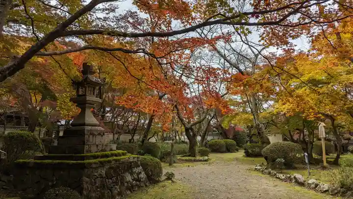 勝持寺(花の寺)(京都府)
