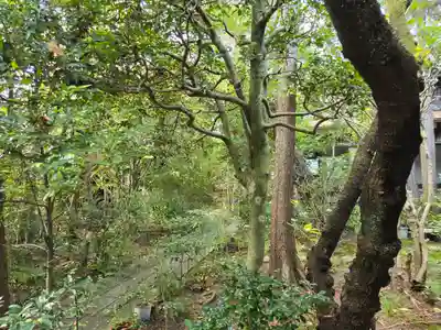迎稱寺(迎称寺)(京都府)