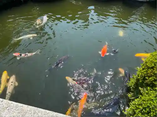 豊川閣　妙厳寺(愛知県)